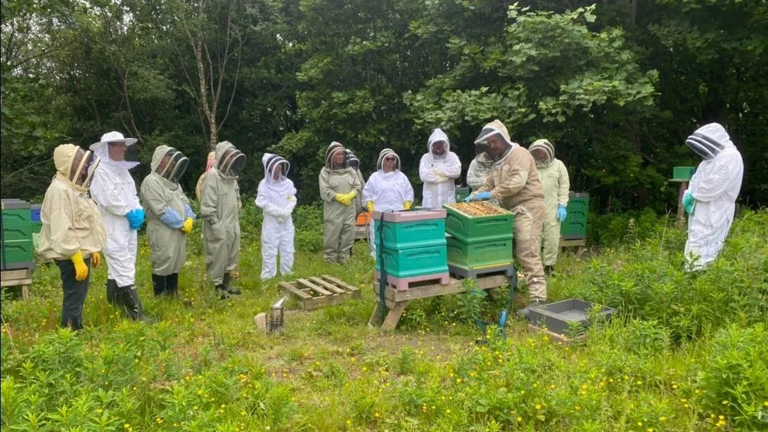 برامج تدريبية في تربية النحل